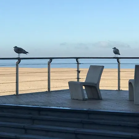 Allure, Met Zuidgericht Tuintje Oostende